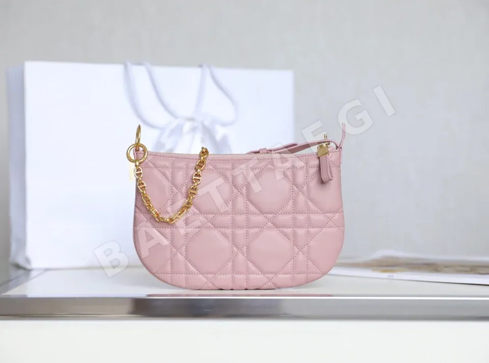 디올 165398 가방 Dior Bag